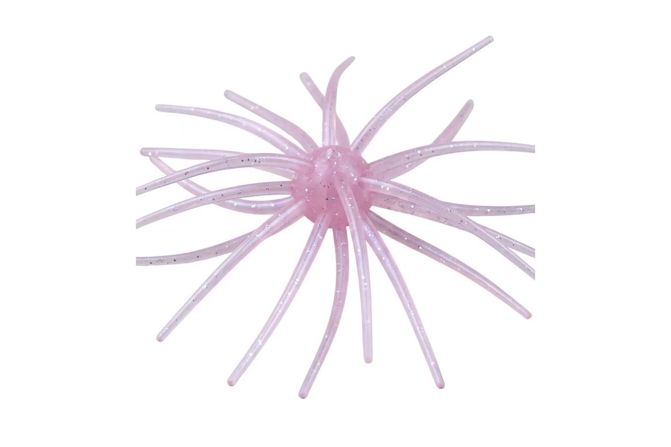 HAGS Prickly Pear Big Tex 25MM Urchin Bait
